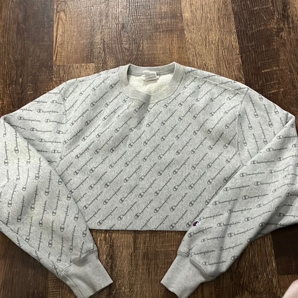 Champion crop top sweatshirt